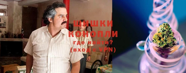 прущие грибы Балахна