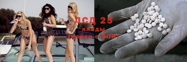прущие грибы Балахна