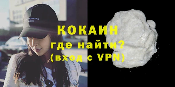 прущие грибы Балахна
