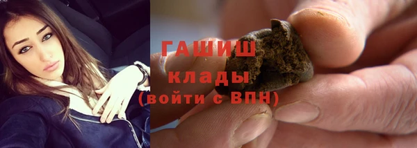 прущие грибы Балахна