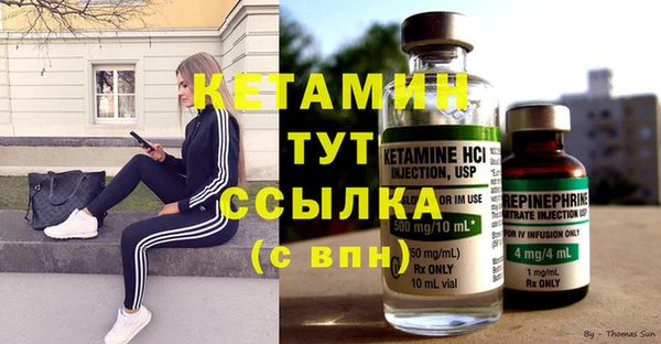 прущие грибы Балахна