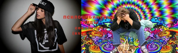 прущие грибы Балахна