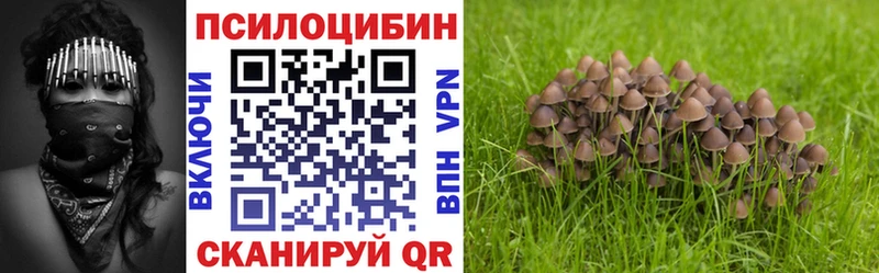Галлюциногенные грибы Psilocybine cubensis  гидра зеркало  Буинск 